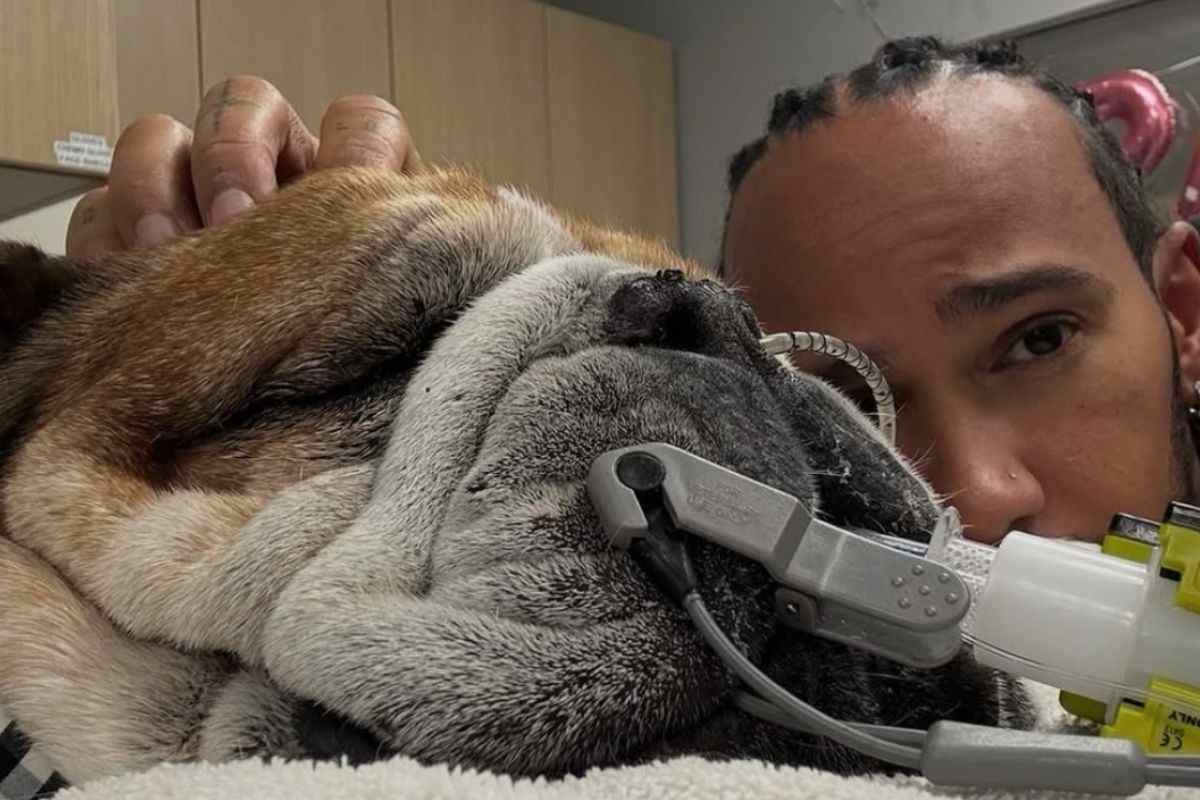 Hamilton dal veterinario con il suo Roscoe