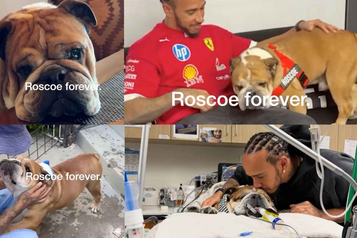 La storia Instagram di Hamilton con Roscoe