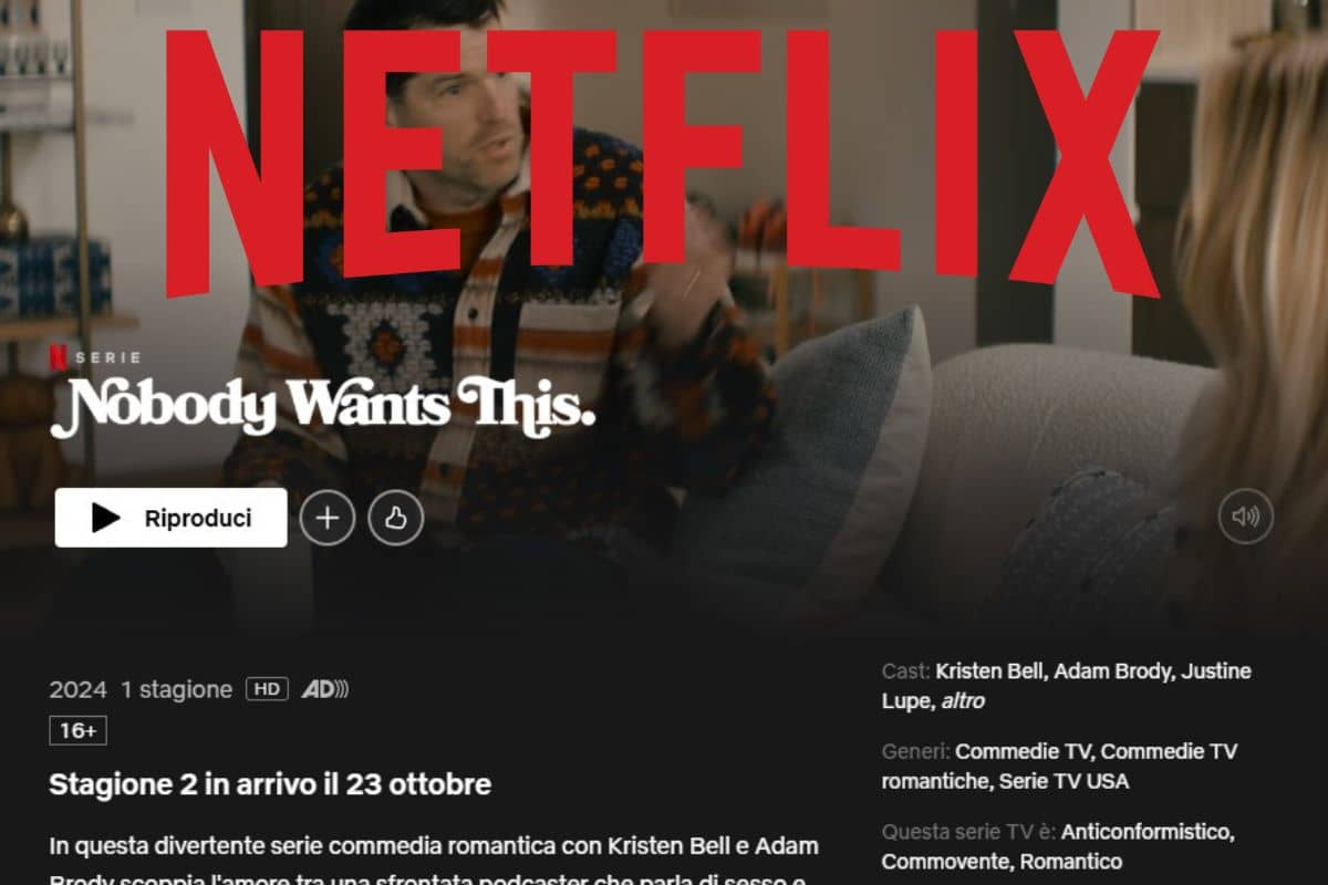 screen netflix Nobody Wants This