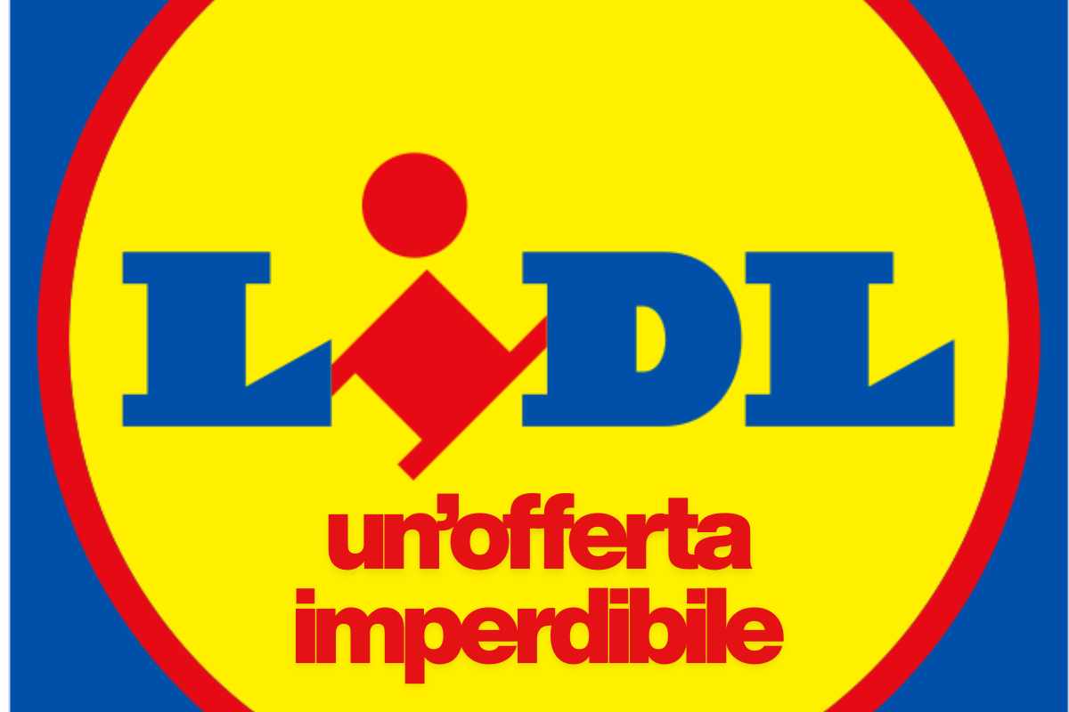 lidl offerta