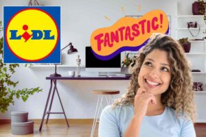 donna felice, ufficio in casa, grafica fantastic e logo lidl