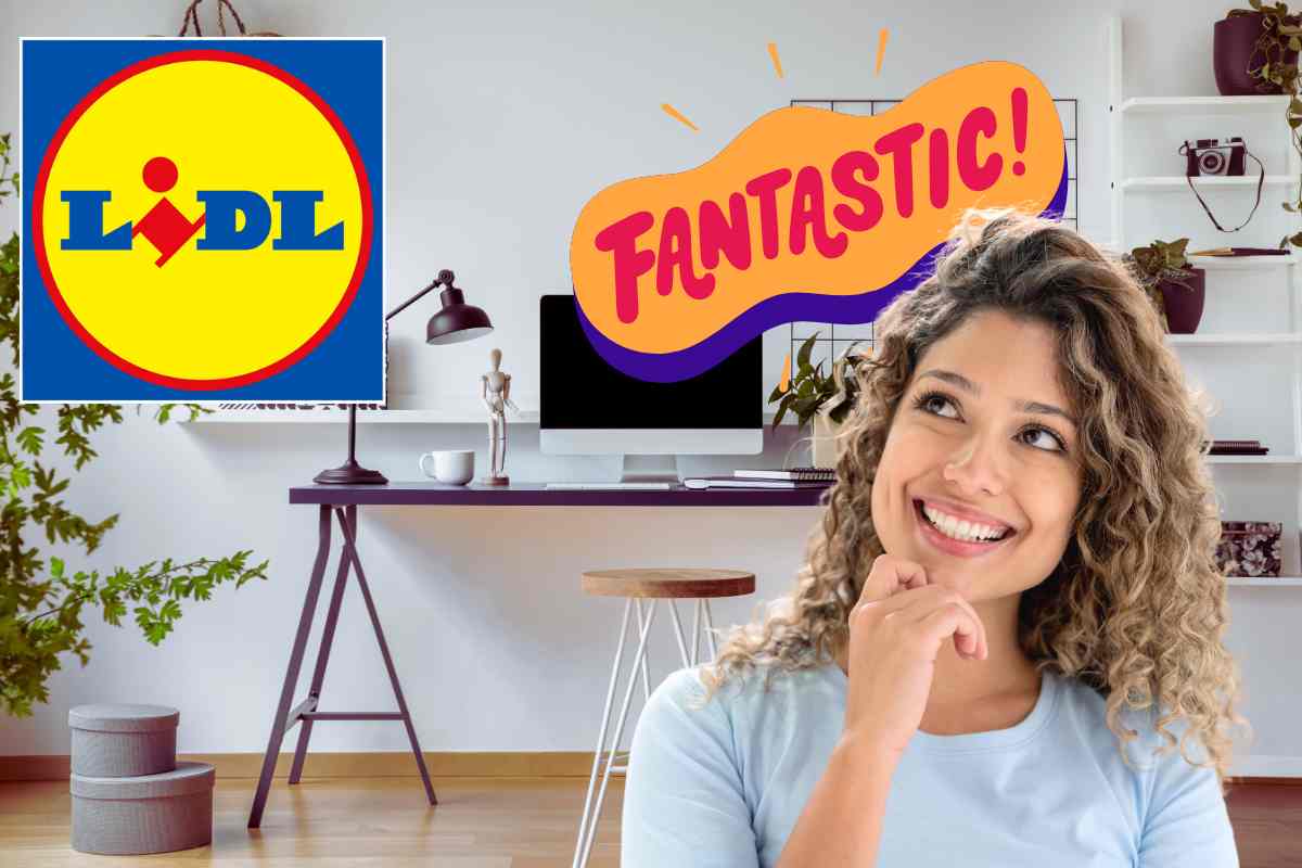 donna felice, ufficio in casa, grafica fantastic e logo lidl