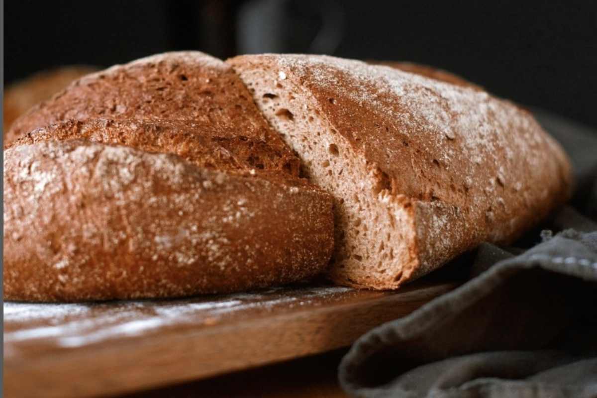 pane di segale