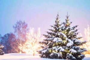 Valcamonica innevata